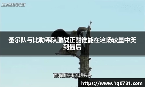 博鱼boyu体育